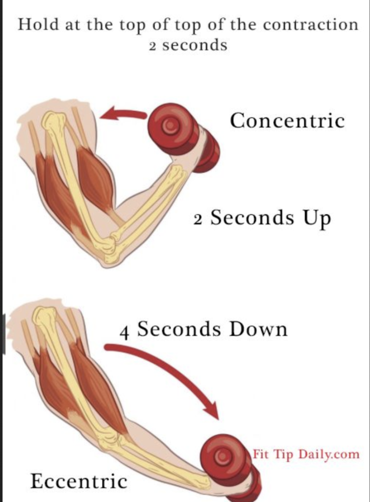 eccentric-concentric-755x1024